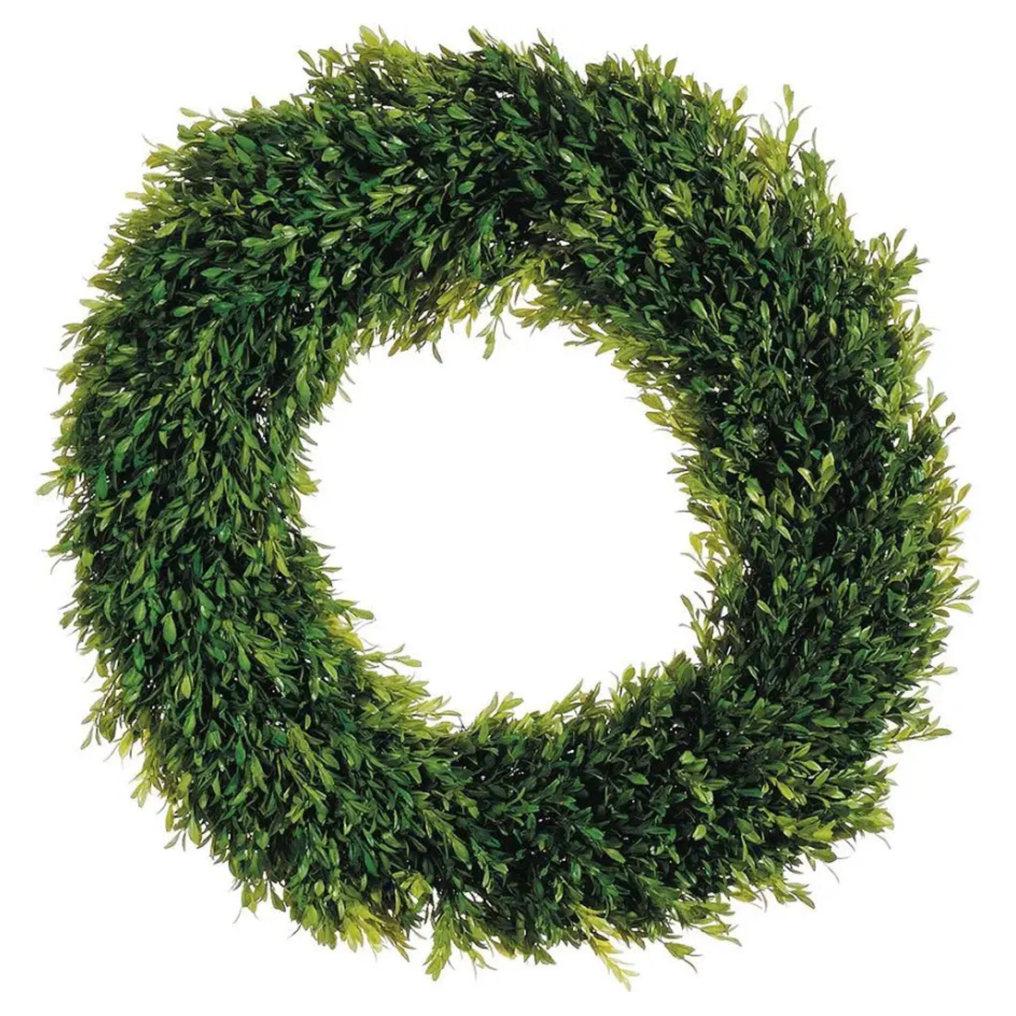 winward silks faux tea leaf boxwood wreath