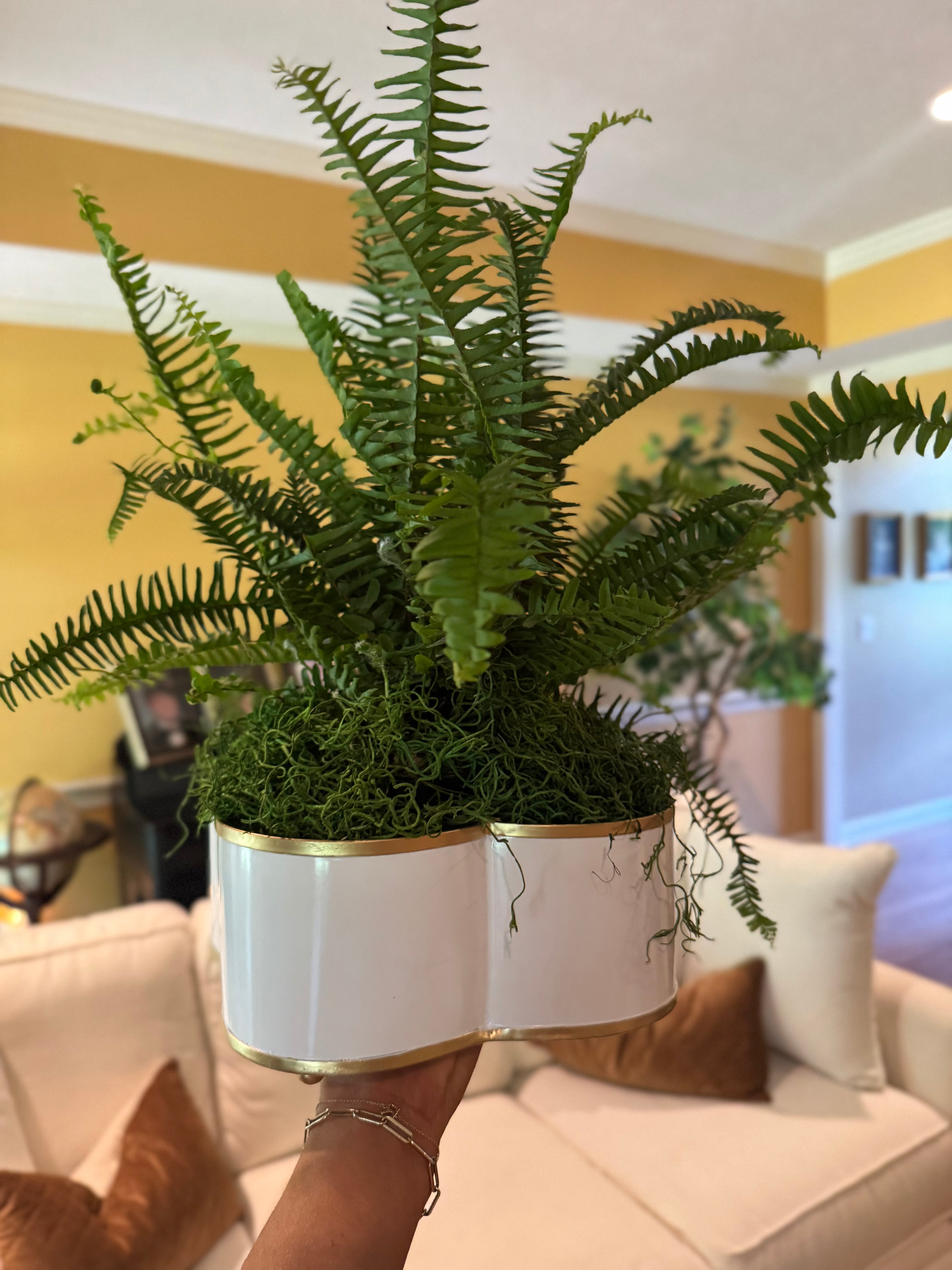 Quatrefoil Cachepot - 2 Sizes