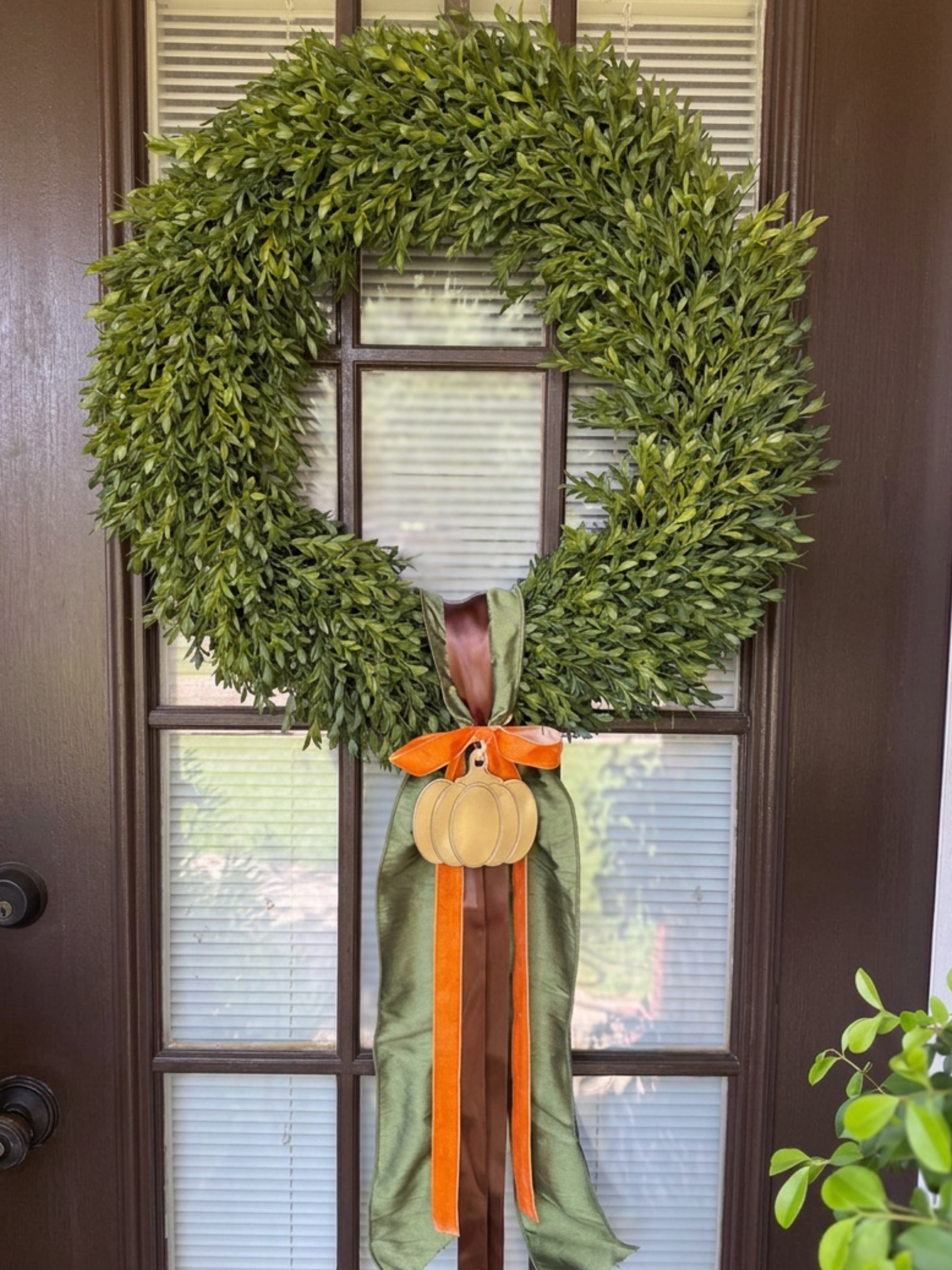 winward silks faux tea leaf boxwood wreath