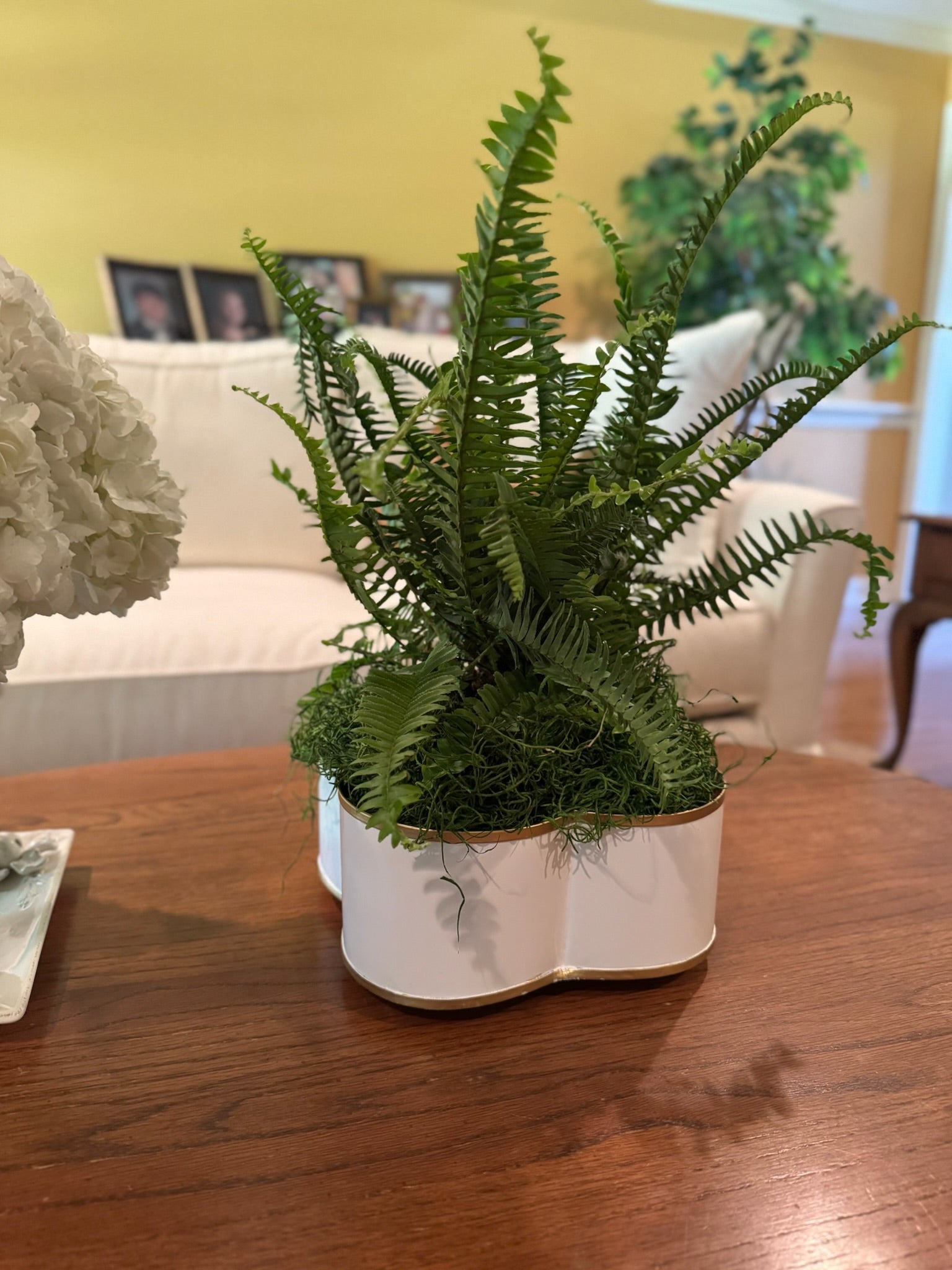 small quatrefoil metal cachepot